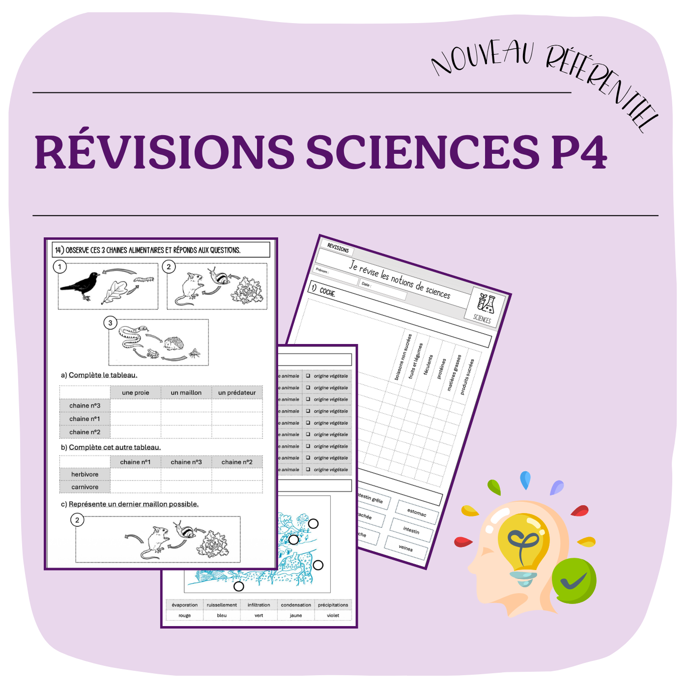 RÉVISIONS SCIENCES P4