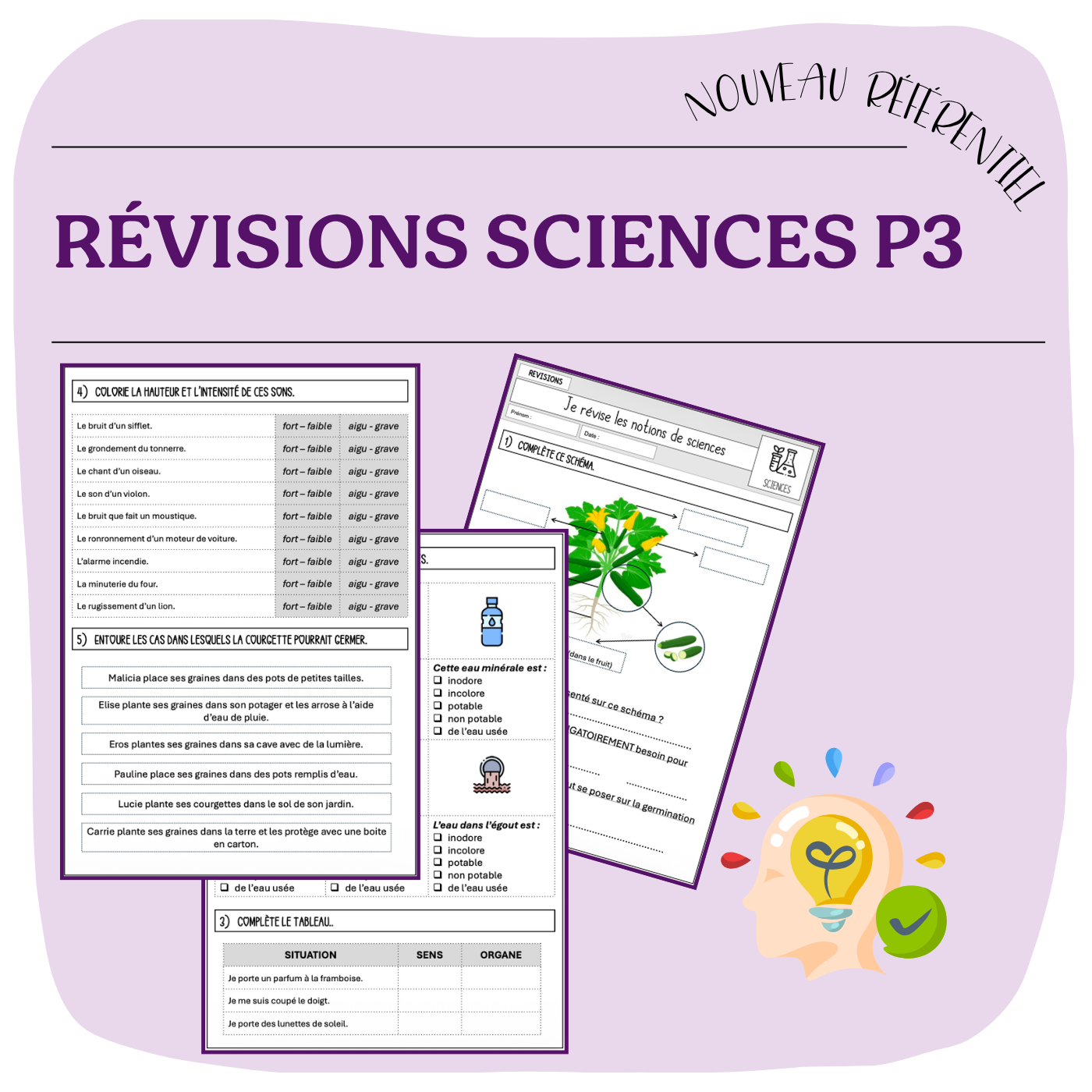 RÉVISIONS SCIENCES P3