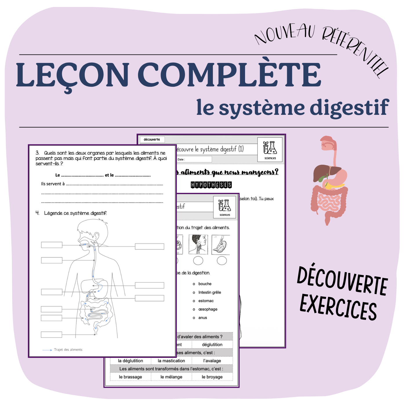 Leçon système digestif