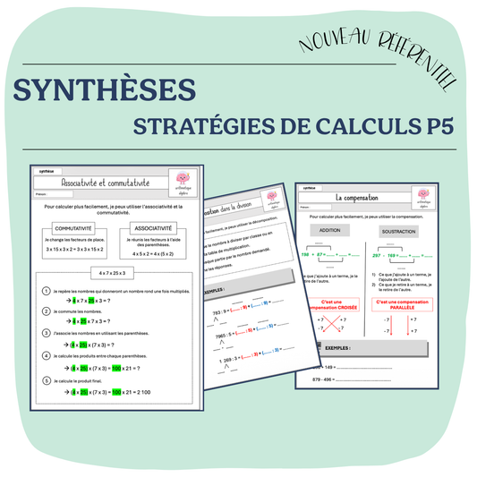 SYNTHÈSES STRATÉGIES DE CALCULS P5
