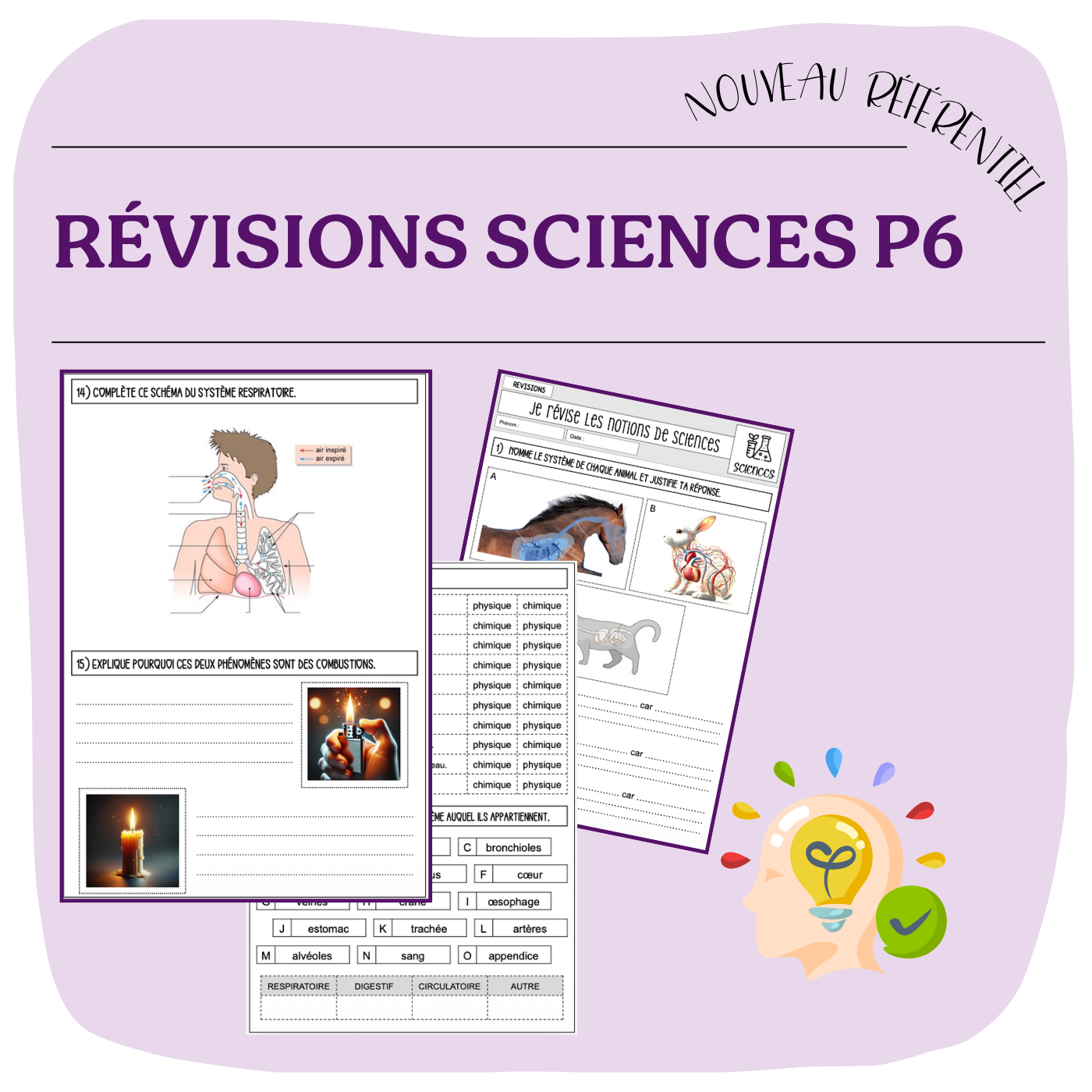 RÉVISIONS SCIENCES P6