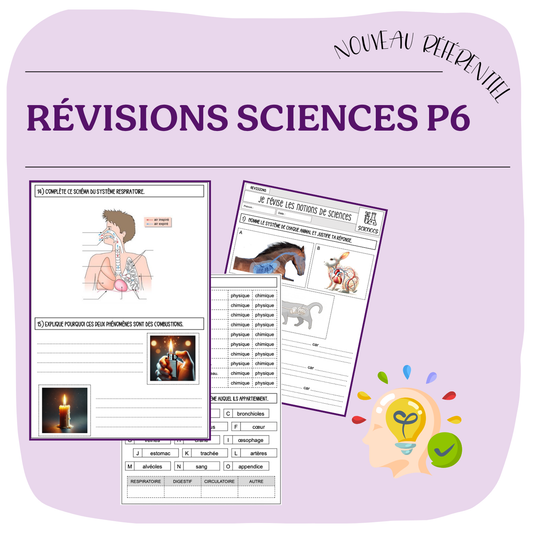BILAN SCIENCES P6