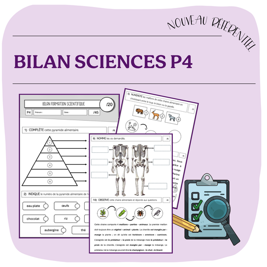 BILAN SCIENCES P4