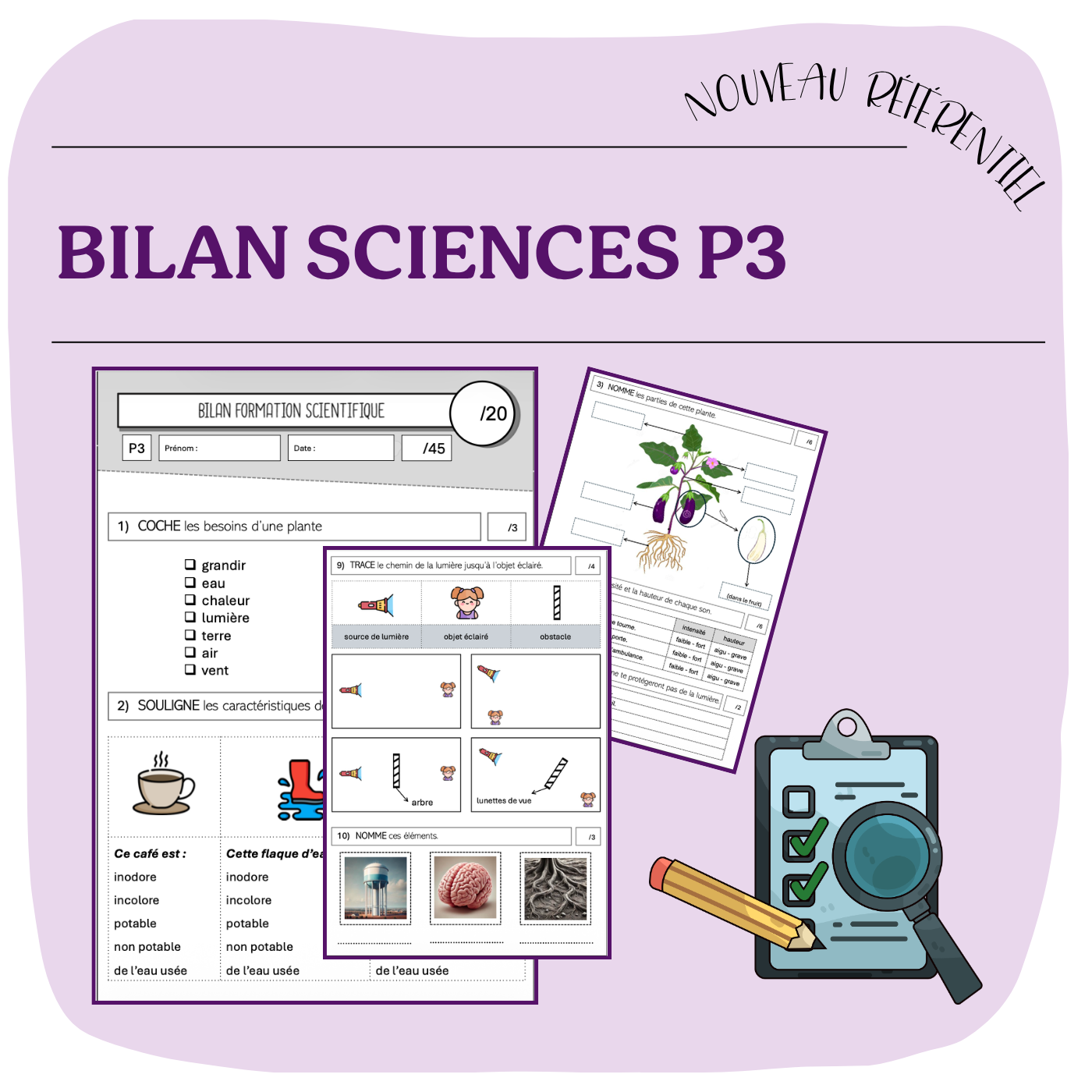 BILAN SCIENCES P3
