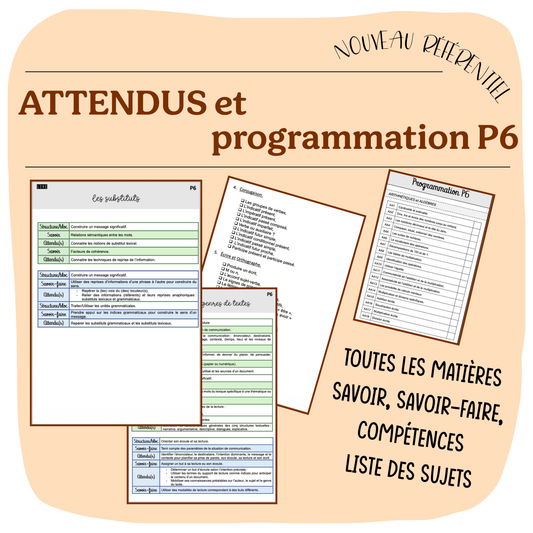 ATTENDUS et PROGRAMMATION P6