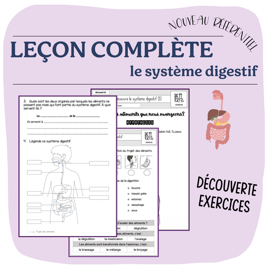 Leçon système digestif