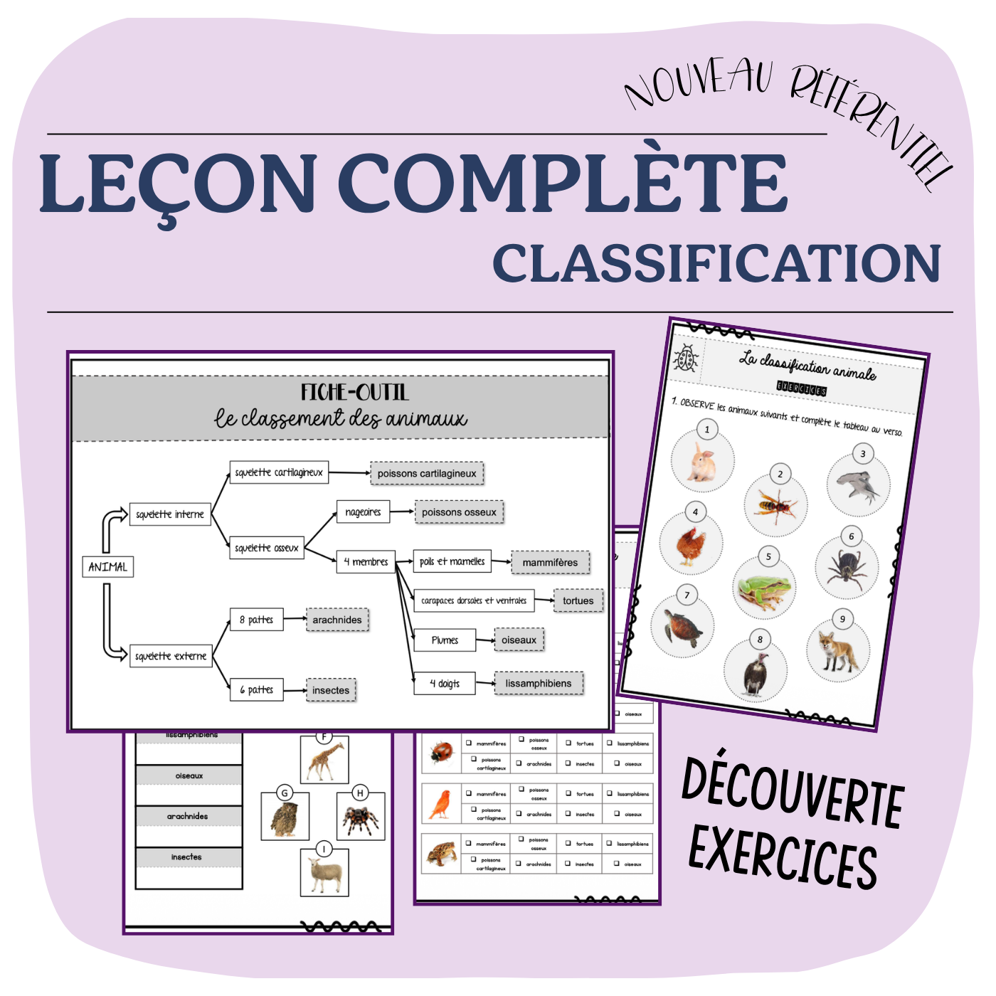 LEÇON COMPLÈTE la classification