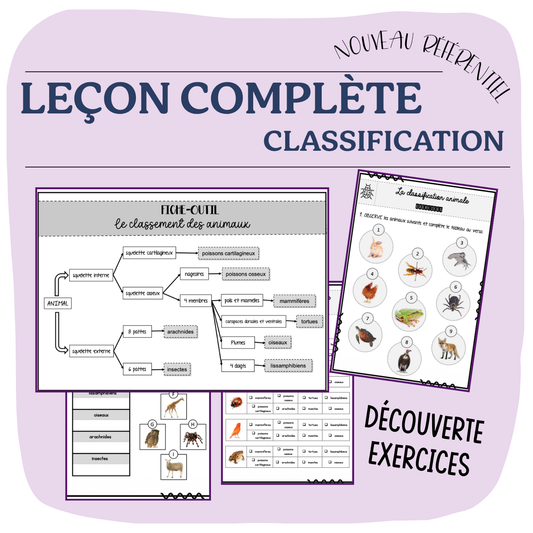 LEÇON COMPLÈTE la classification