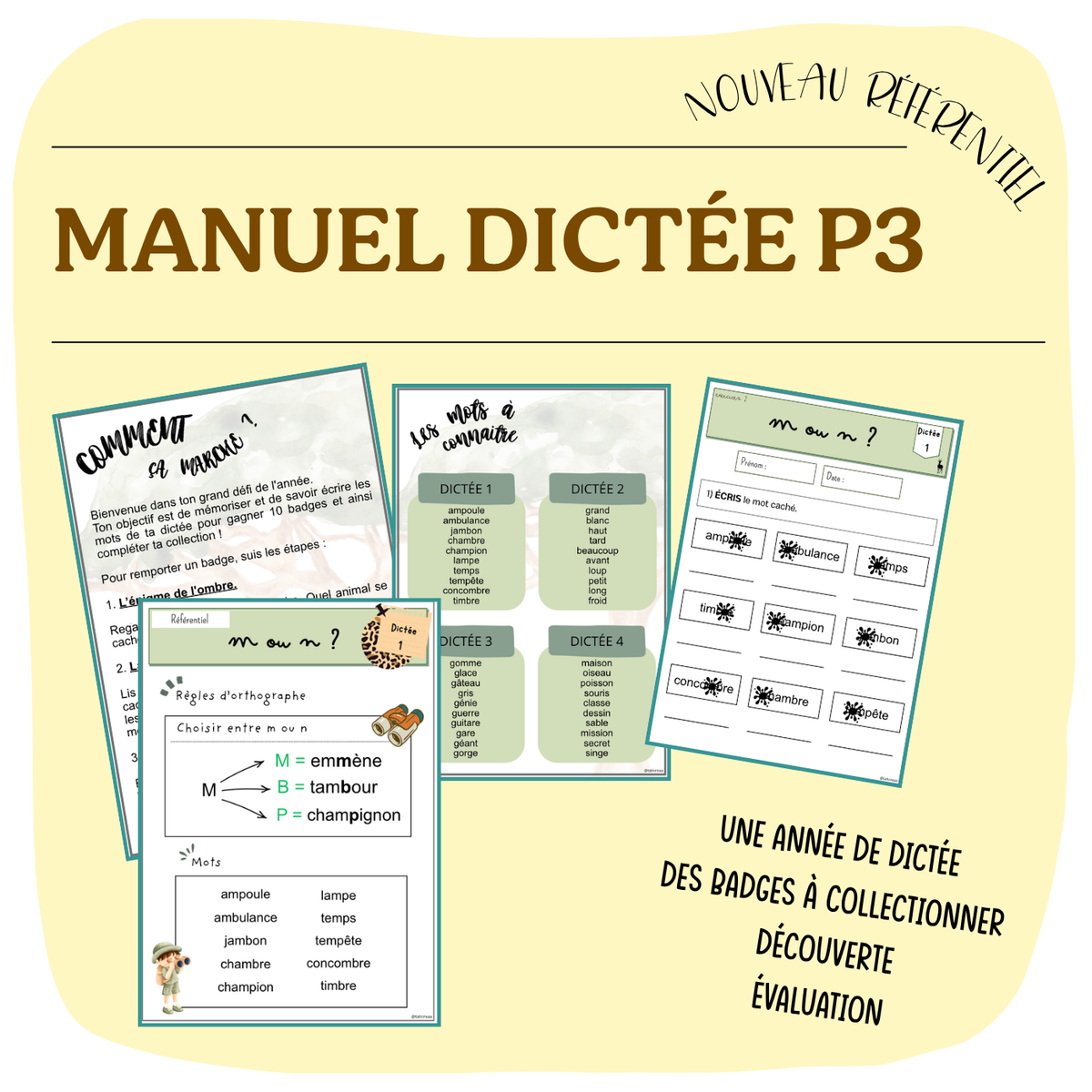 MANUEL DICTÉE P3