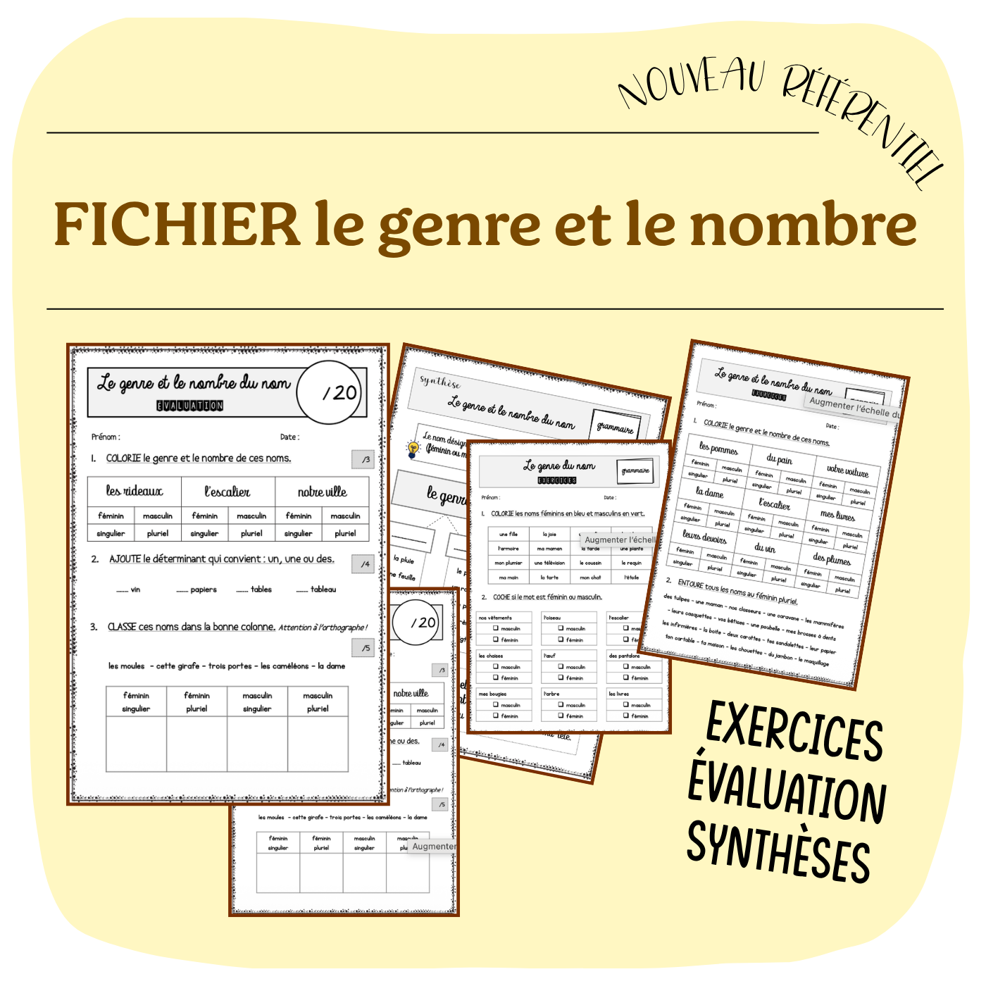 DOSSIER LE GENRE ET LE NOMBRE