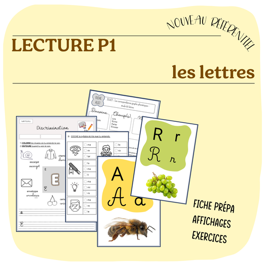 ANNEXES MANUEL LECTURE P1