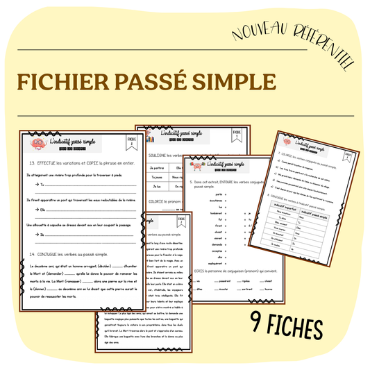 DOSSIER PASSÉ SIMPLE